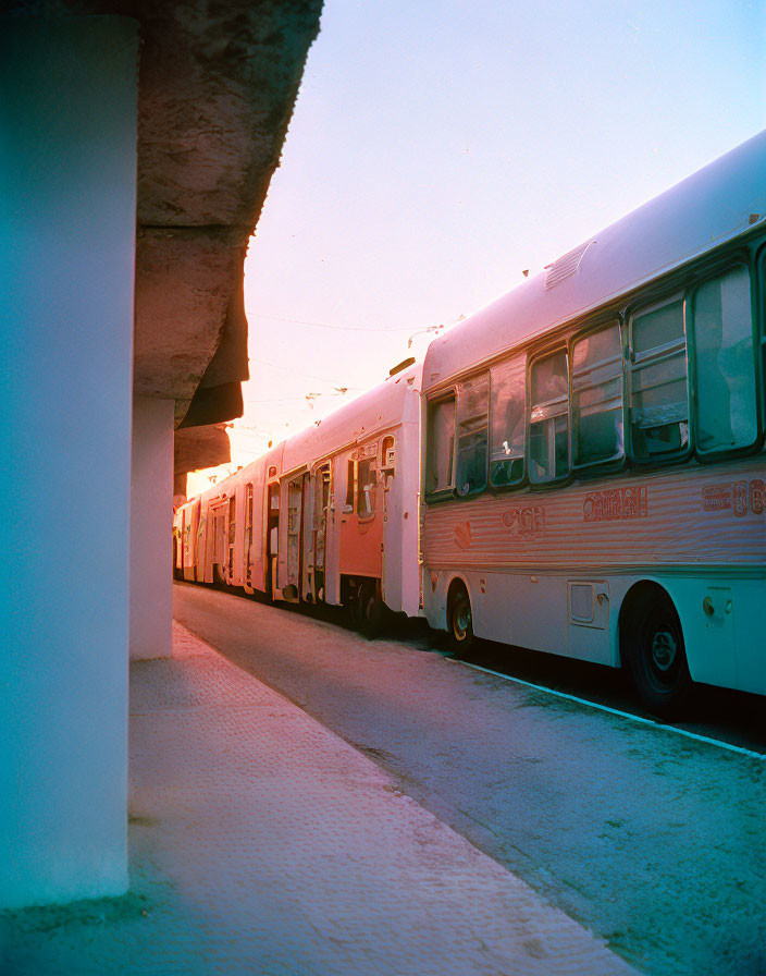 Parked buses in warm sunlight under clear sky from alleyway
