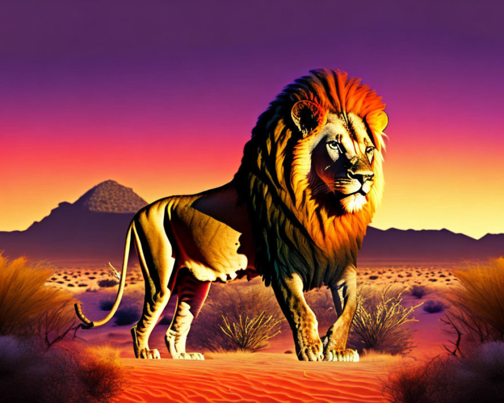 Majestic lion in vibrant desert sunset with purple skies