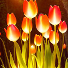 Vibrant tulips glow against dark forest backdrop