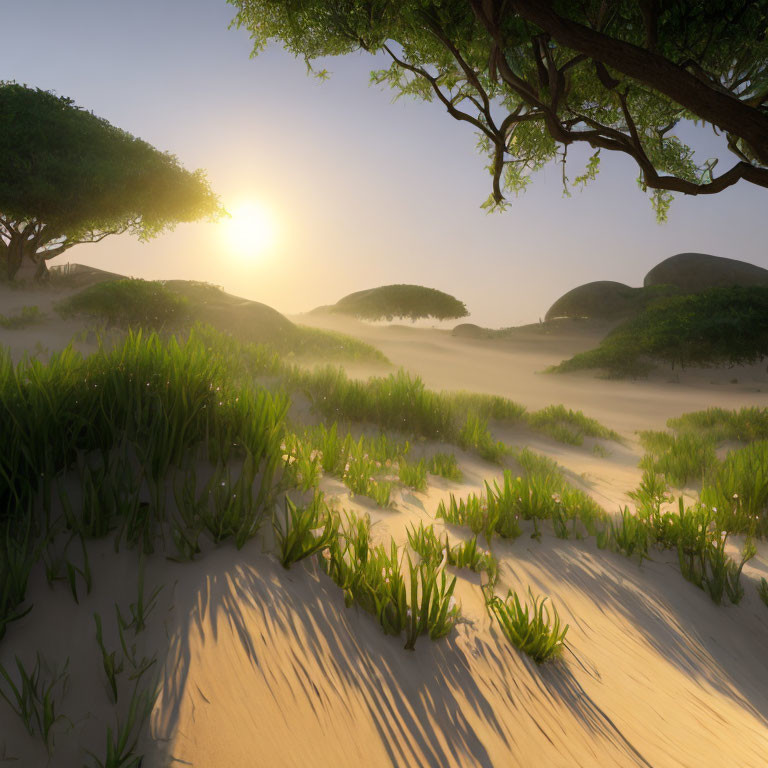 Desert sunrise landscape with green plants, sand dunes, and trees in golden light