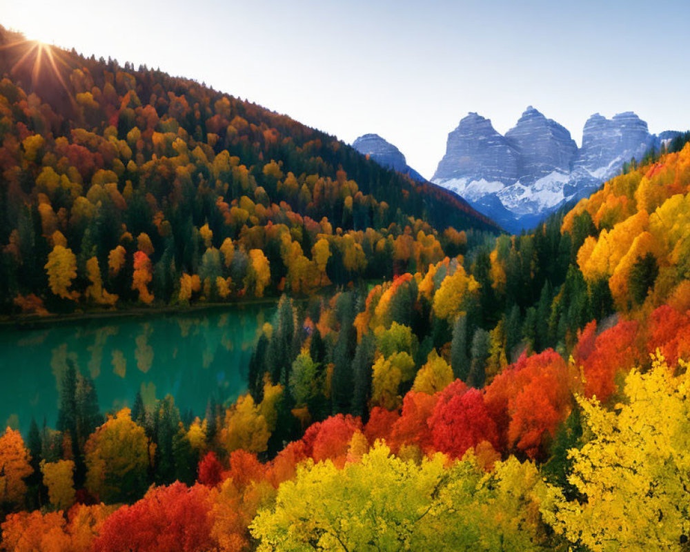 Vibrant autumn forest by turquoise lake and sunlit mountains