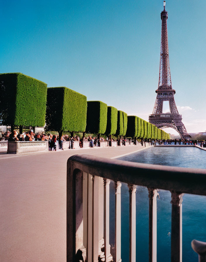 Iconic Eiffel Tower View from Promenade with Green Hedges