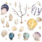 Assorted hand-drawn seashells, starfish, and seaweed in soft colors on white