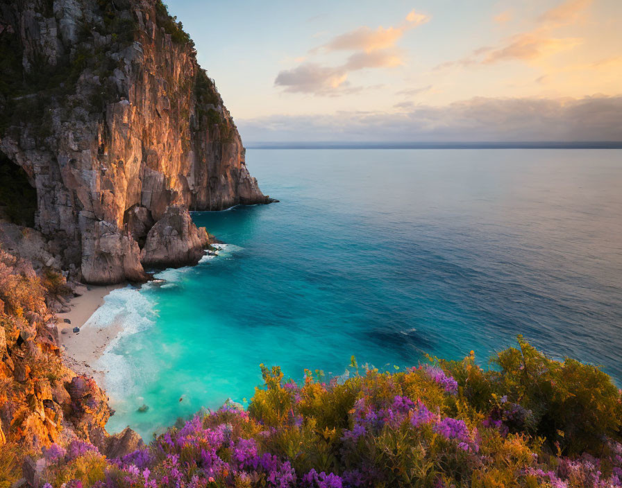 White Sand Beach Cove with Steep Cliffs and Purple Flowers at Sunset