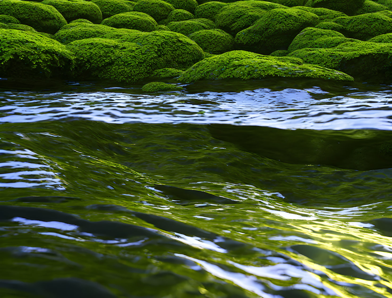 Moss-Covered Rocks Near Rippling Water with Sunlight Reflection