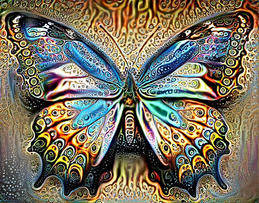 Butterfly dream 