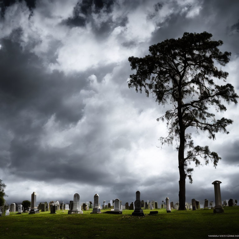 Solitary tree in graveyard under dramatic cloudy sky