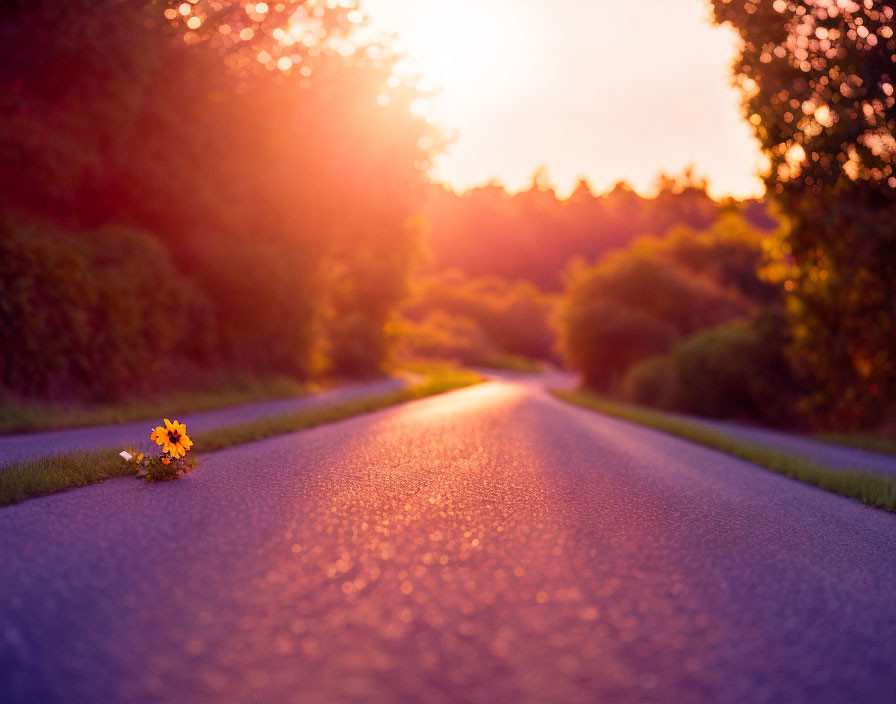 Tranquil sunset scene on winding road with flowers - serene beauty captured