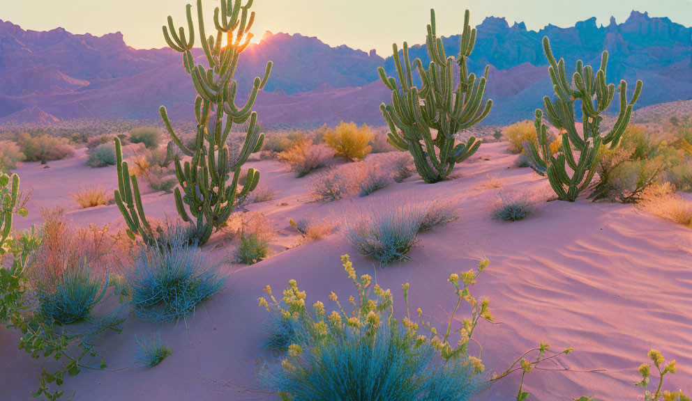 Desert sunset with tall cacti and rugged mountains in warm hues