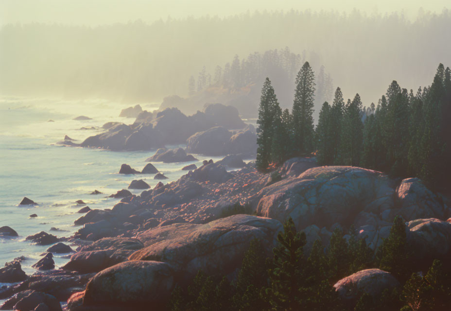 Rocky Shoreline at Sunrise with Misty Pine Trees