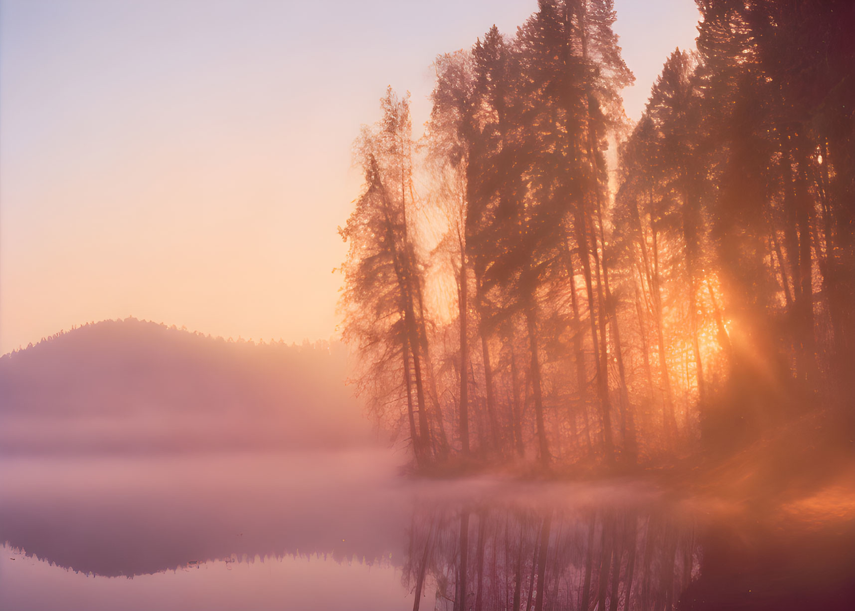 Tranquil lakeside sunrise with sunlight through trees