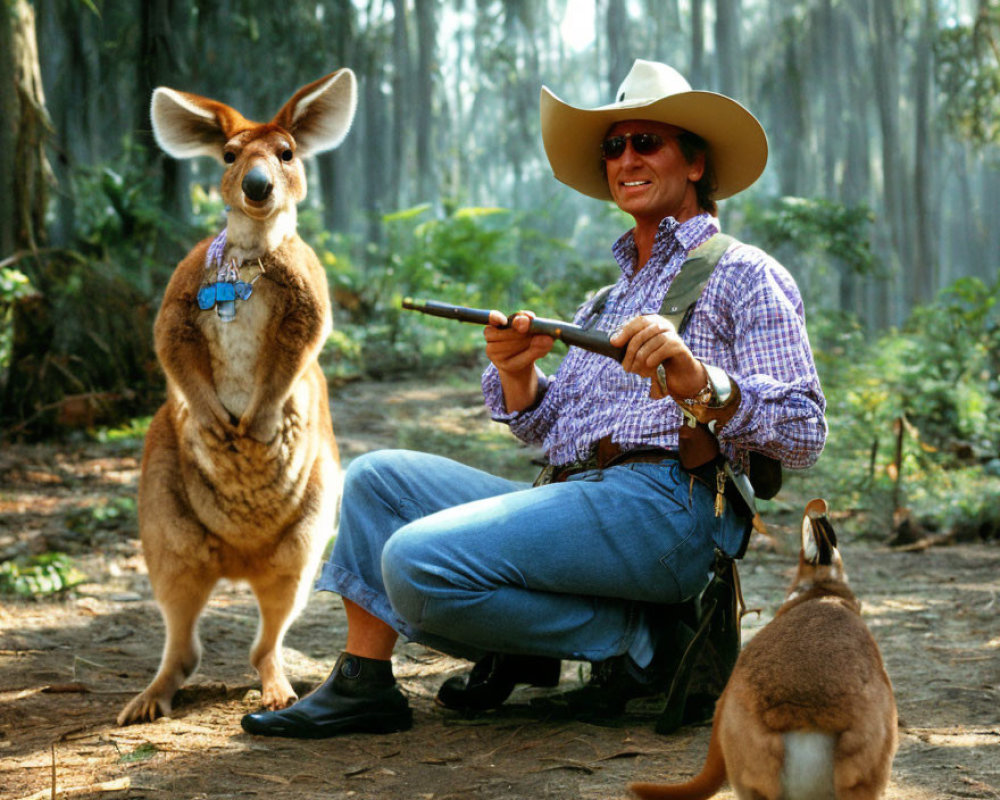 Cowboy hat person with rifle beside kangaroos in forest setting