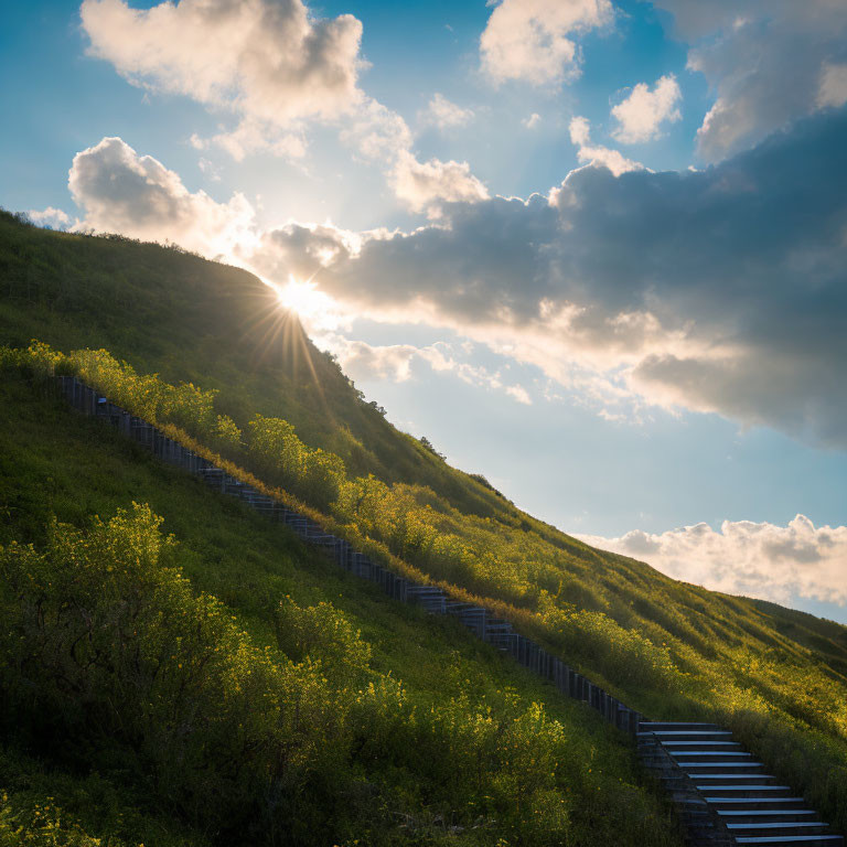 Lush Green Hill with Staircase under Sun Rays