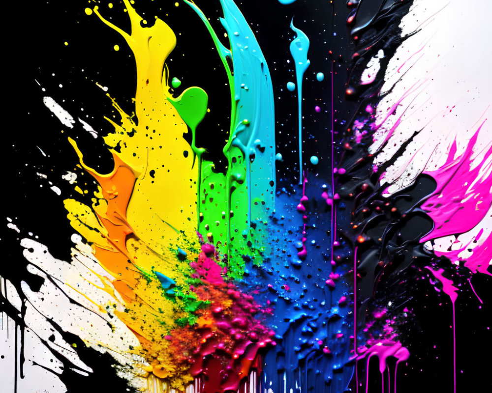 Colorful Paint Splashes on Black Background: Dynamic and Artistic Explosion