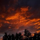 Twilight sky with orange clouds and silhouetted trees under small lights