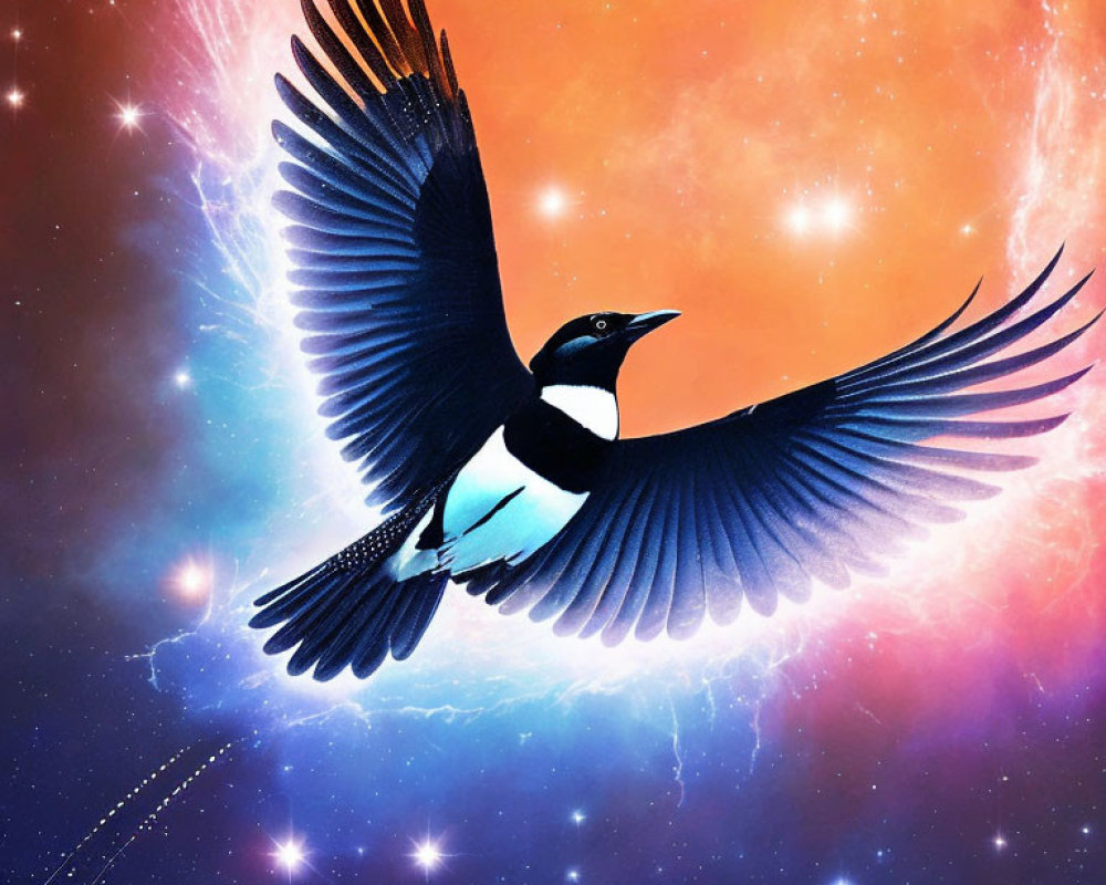 Magpie flying in cosmic backdrop of oranges, blues, stars