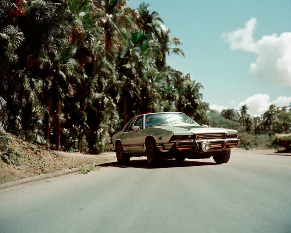 Classic Muscle Car Parked on Sunny Road with Palm Trees