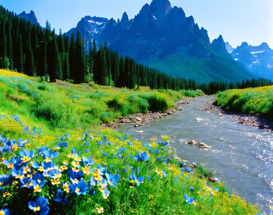 Scenic landscape with stream, wildflowers, and mountains