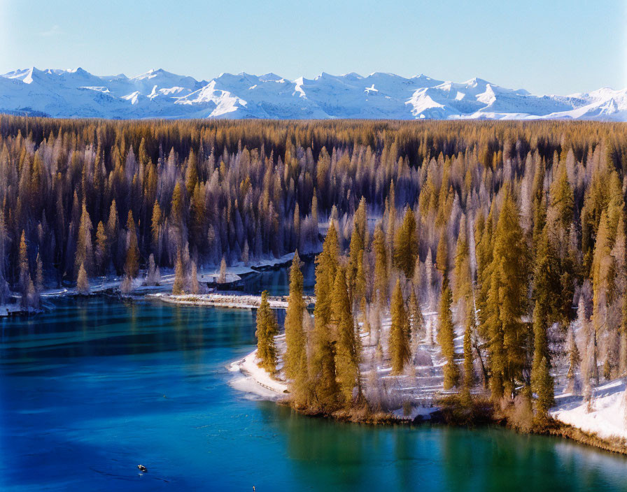 Tranquil landscape with turquoise lake, coniferous trees, and snow-capped mountains