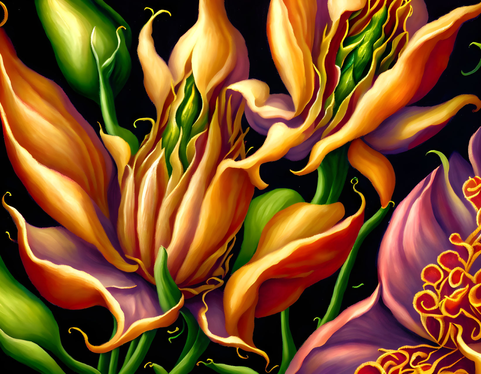 Detailed Botanical Illustration of Orange-Yellow Flowers on Dark Background