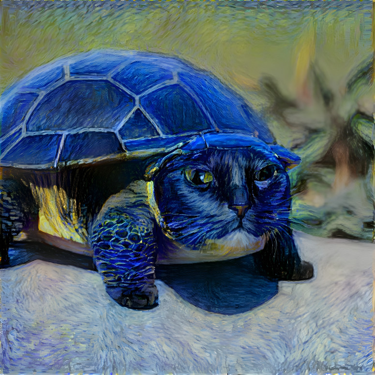 Turtle cat