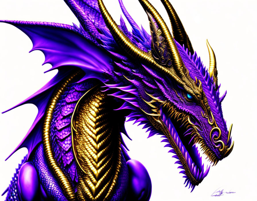 Detailed Purple Dragon Illustration with Golden Underbelly
