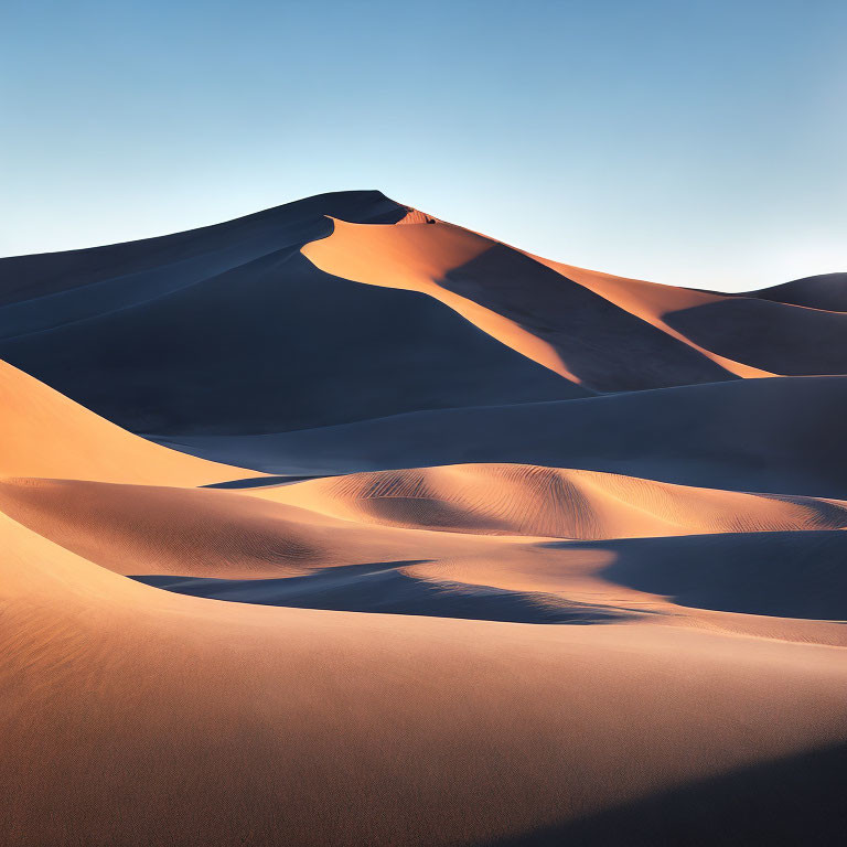 Golden Light Illuminates Curved Sand Dunes