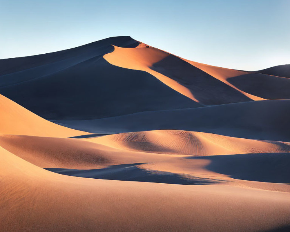 Golden Light Illuminates Curved Sand Dunes