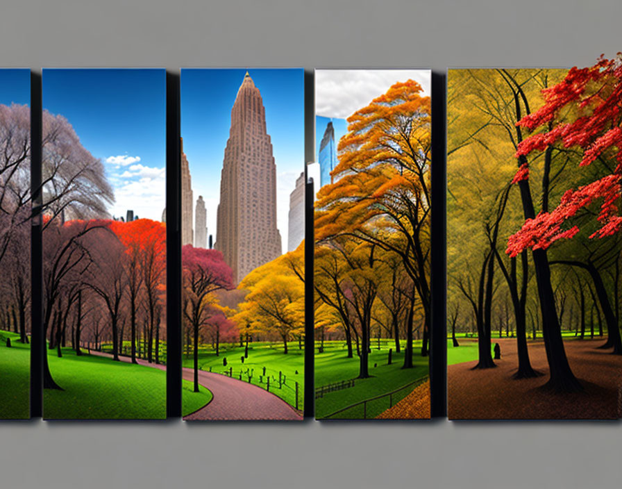 Seasons in Central Park