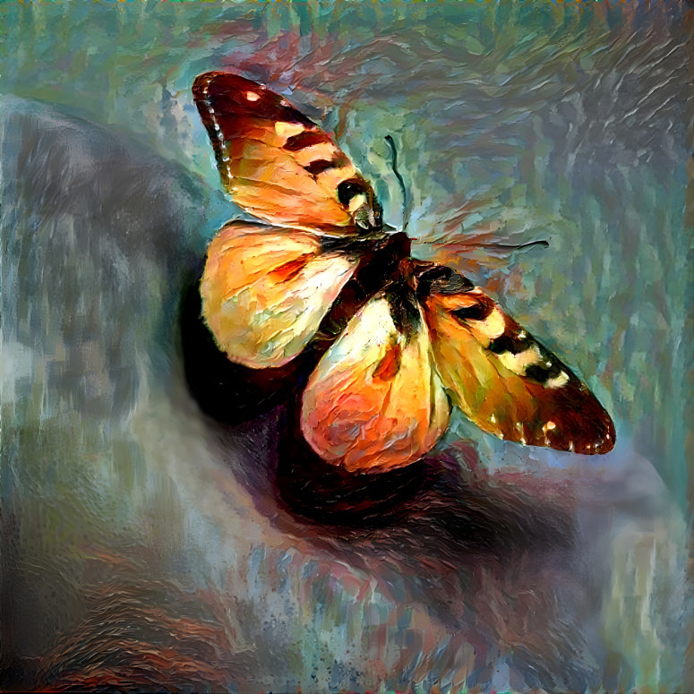 Butterfly in oil paint
