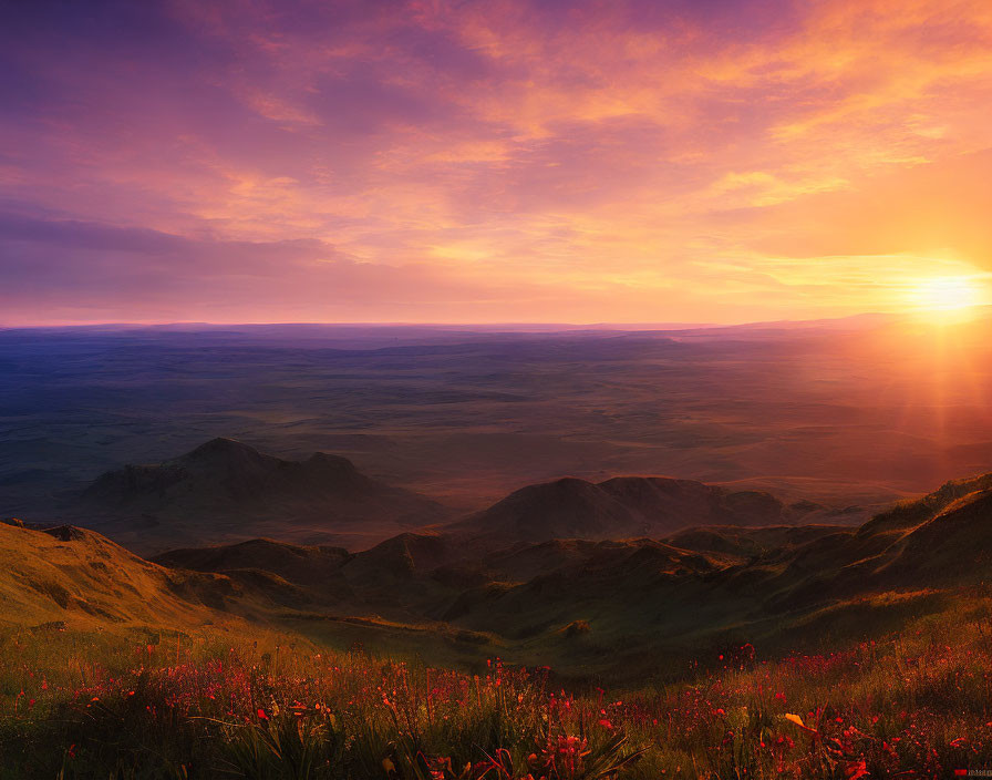 Panoramic sunset view over vast hilly landscape with wildflowers and radiant clouds