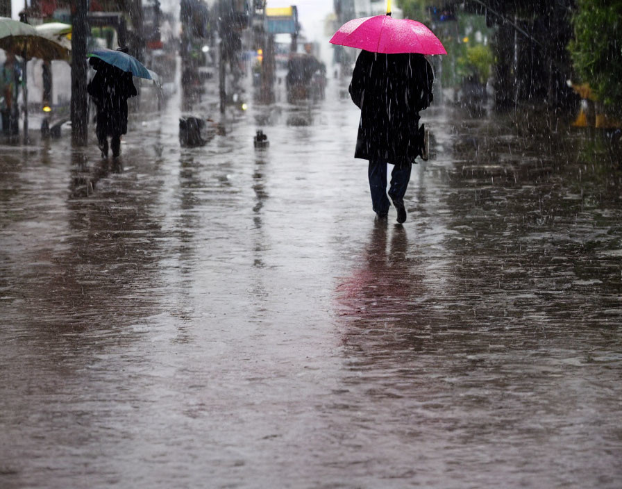 Pedestrians with umbrellas in rain on wet street