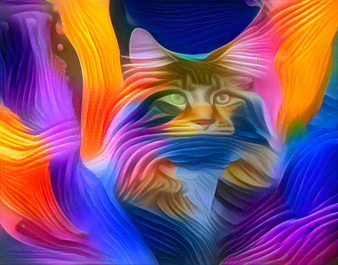 Coloured Cat