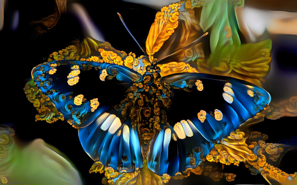 Butterfly blue-gold 