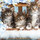 Realistic cats with blue and white color palette and letter "T