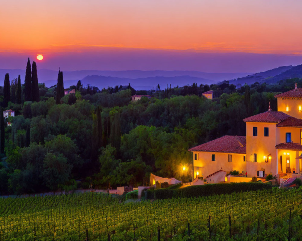 Vineyard sunset with lit villa, lush trees, and rolling hills