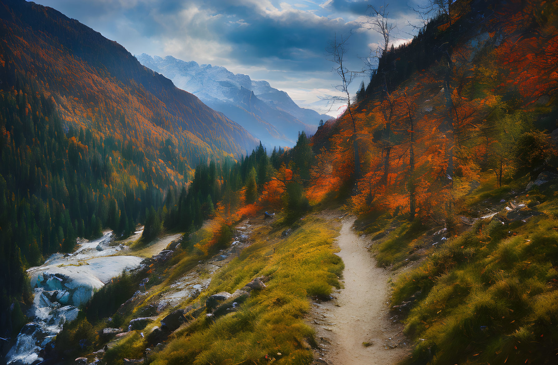 Scenic autumn forest trail with misty mountains view