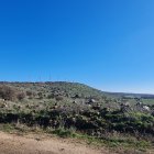 Panoramic view of wind farm on rolling hills with wildflowers and birds in clear blue sky