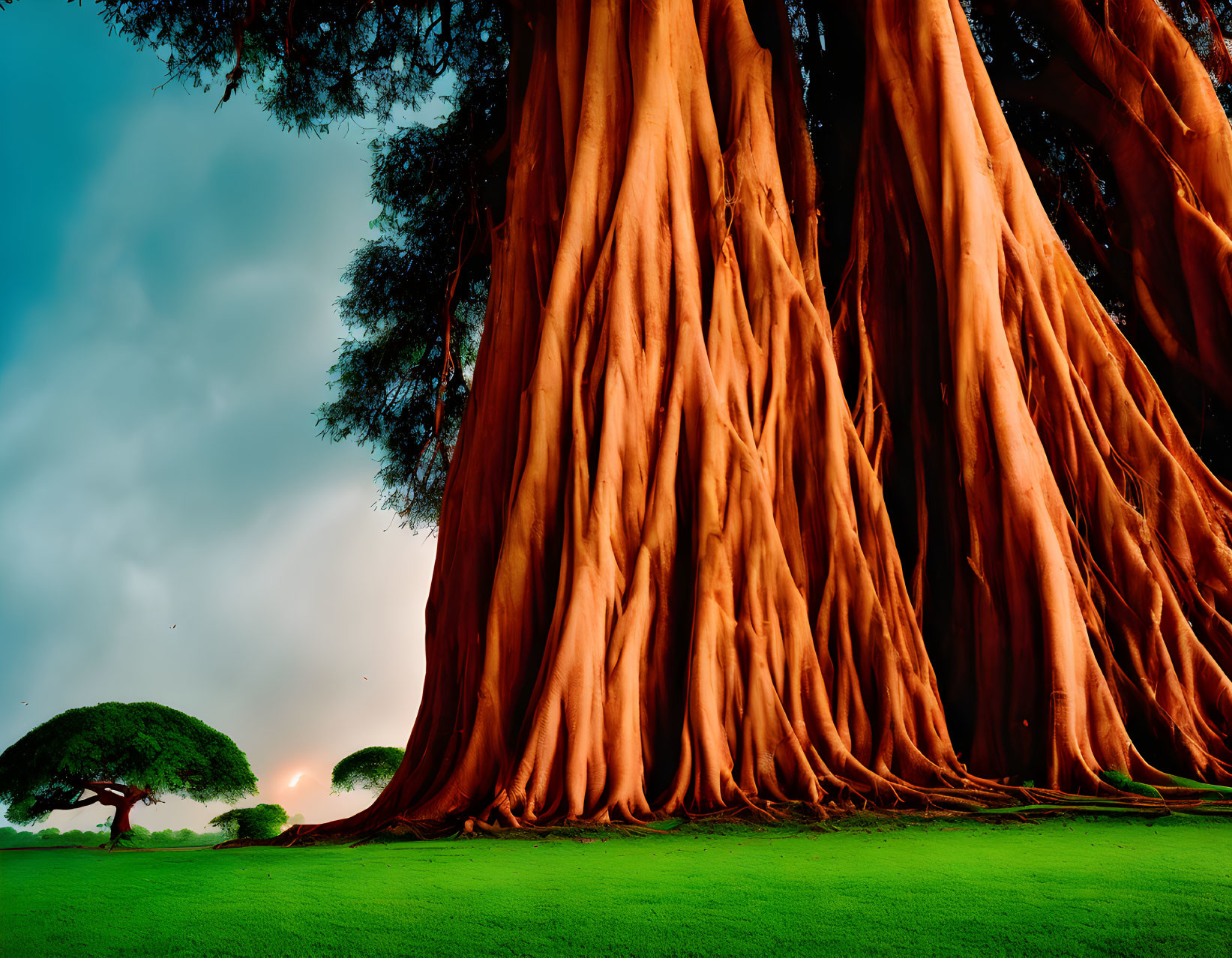 Majestic red-barked trees in lush green landscape under dramatic sky