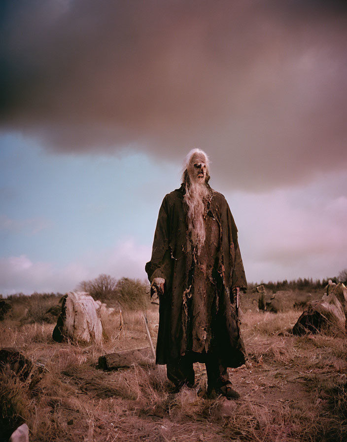 Elderly person with long white beard in tattered cloak standing in barren field