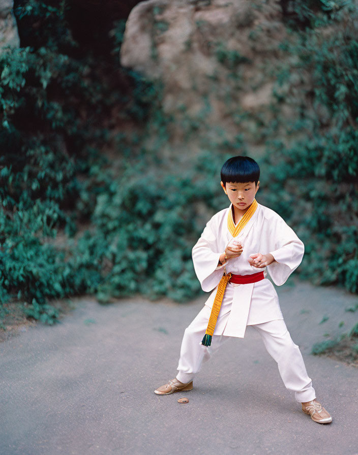 Young child in yellow belt martial arts uniform on pathway with foliage