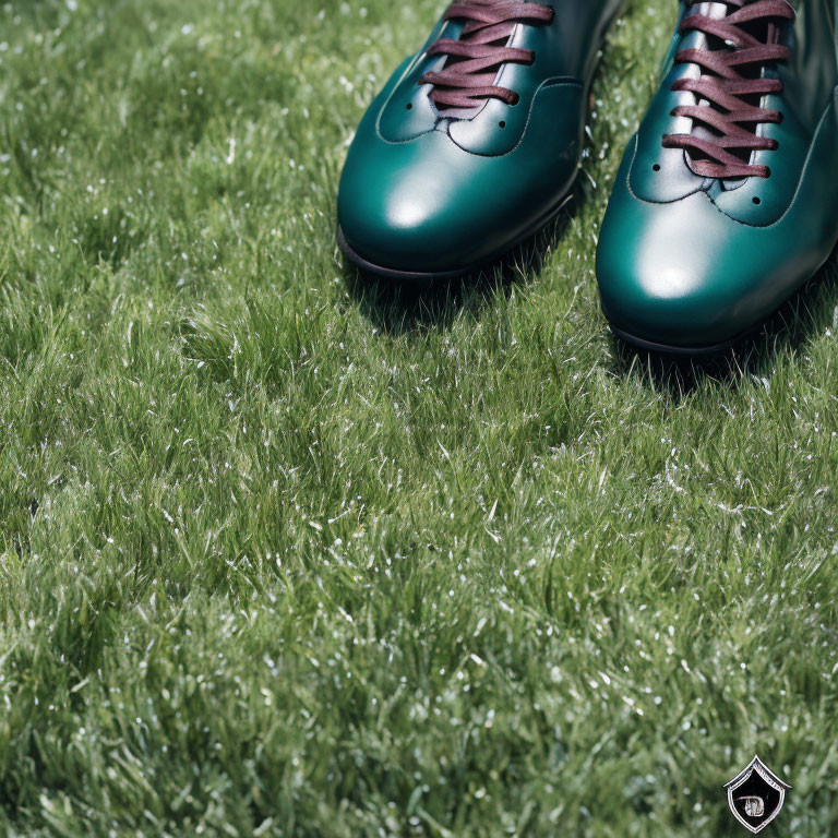 Green Leather Shoes with Laces on Lush Grass