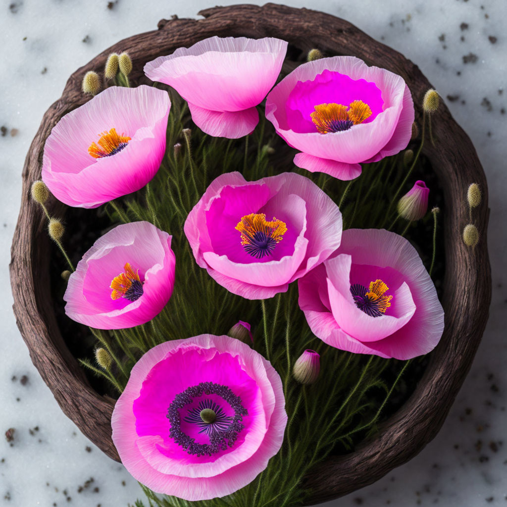 Wooden Bowl with Vibrant Pink Poppy Flowers on Speckled White Background