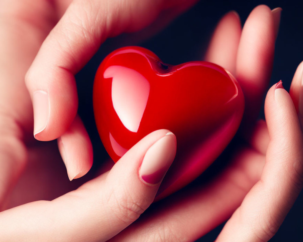 Manicured hands holding red heart on dark background