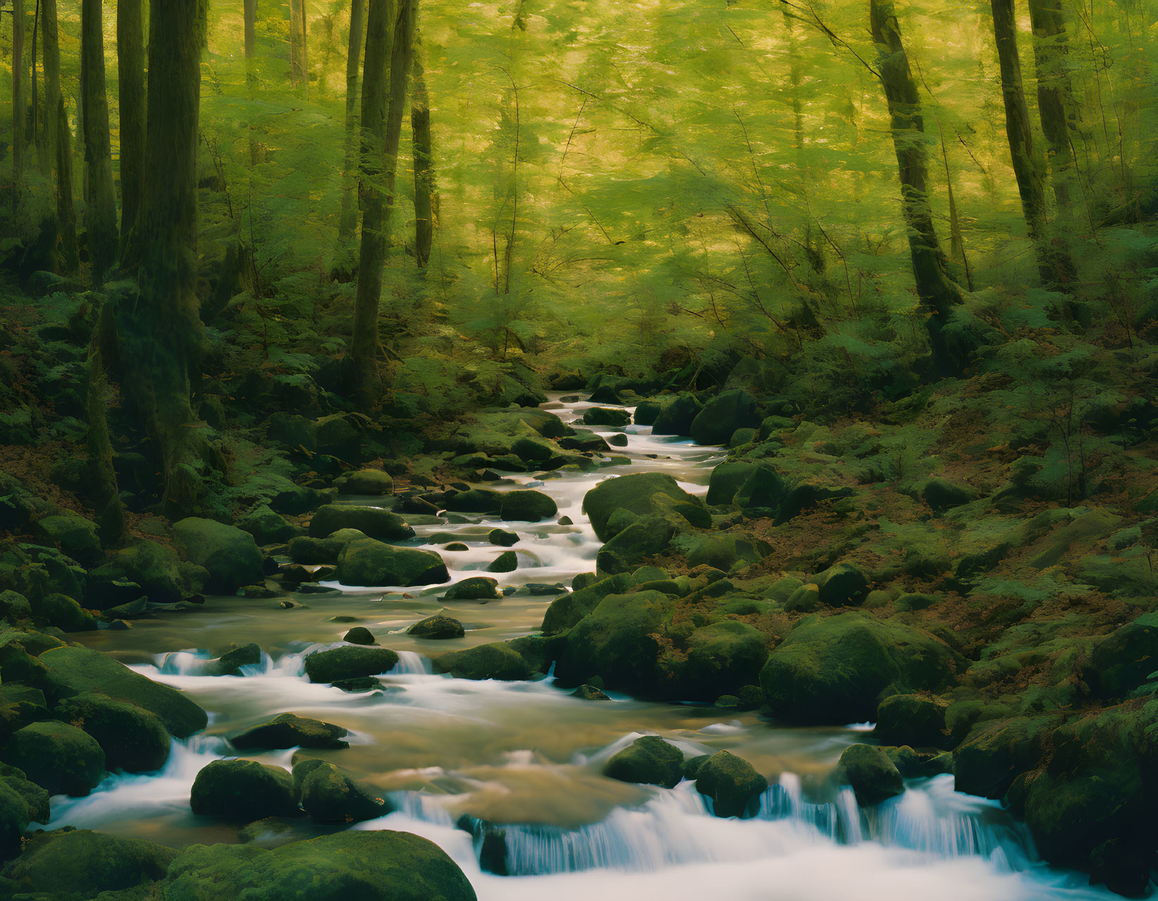 Tranquil forest scene with cascading stream and lush green trees