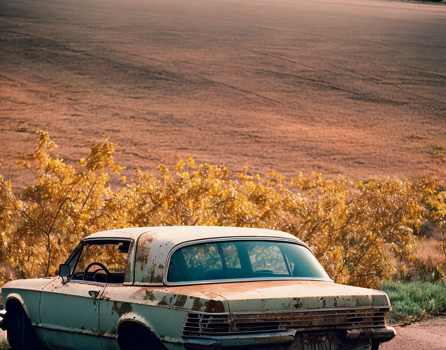 Rusty abandoned car in front of golden foliage field