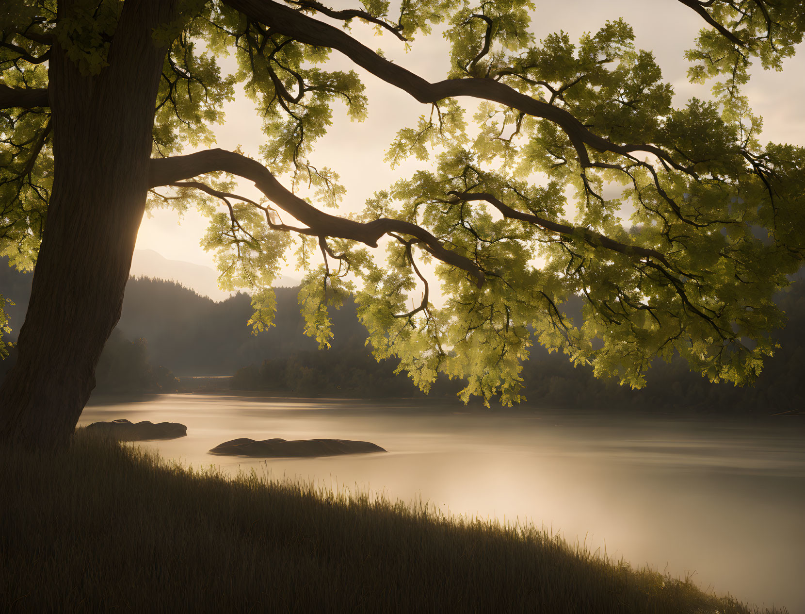 Serene Sunrise River Landscape with Tree Silhouette