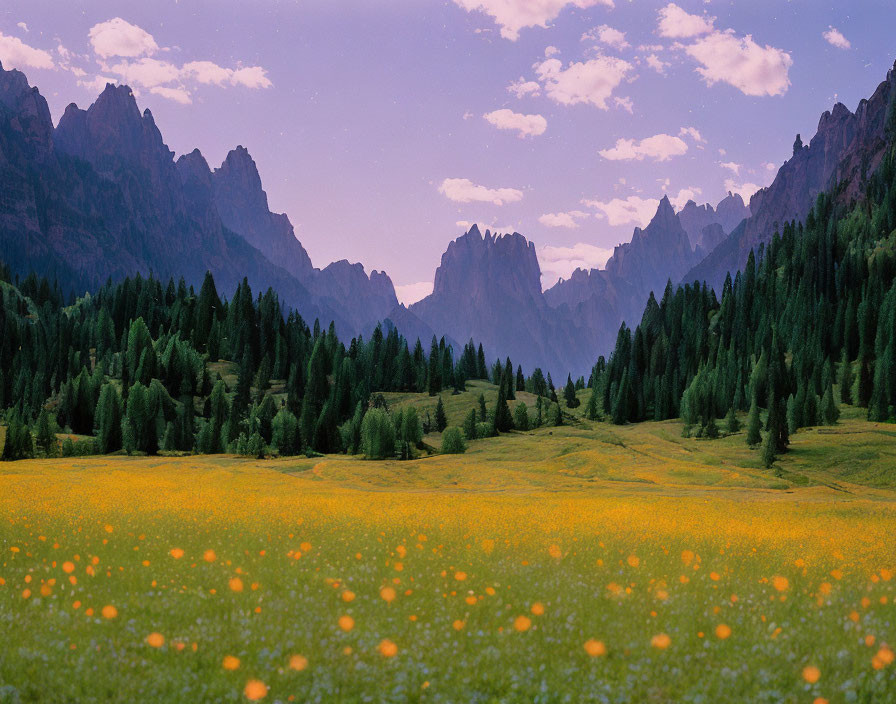 Majestic mountain landscape with yellow wildflowers, green forests, and purple sky