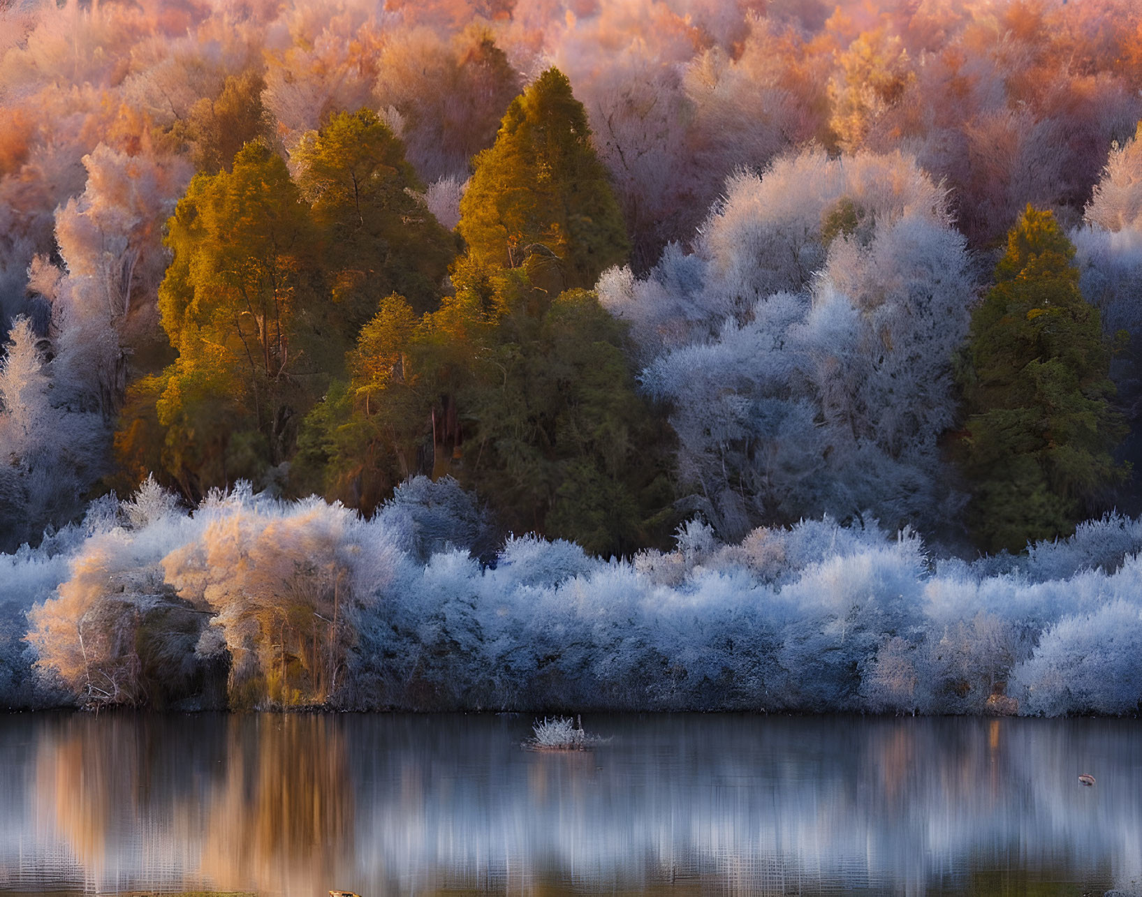 Tranquil autumn scene: trees, lake, golden and frosted foliage in soft light