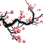 Black branches form heart shape with red flowers on white background